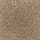 Mohawk Carpet: Classical Design I 12' Desert Mud